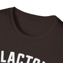 Load image into Gallery viewer, CLACTON BIRD SANCTUARY Unisex Softstyle T-Shirt - Two Ronnies