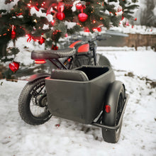 Load image into Gallery viewer, Cooler Ebike Sidecar