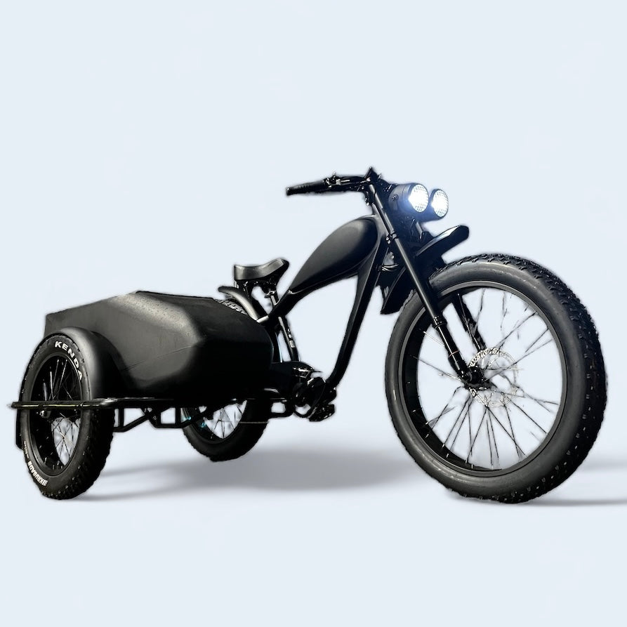 electric bicycle with sidecar Cooler Ebike Sidecar – Cooler King eBikes