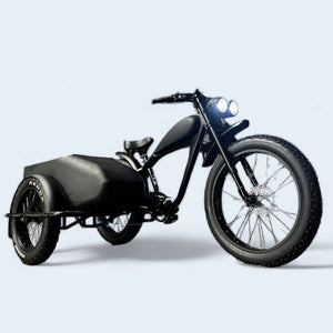 Cooler Ebike Sidecar