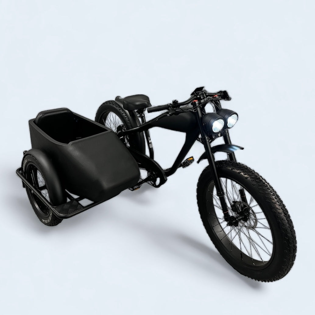 fahrrad seitenwagen kaufen Cooler Ebike Beiwagen – Cooler King eBikes