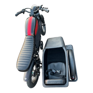 Cooler Ebike Sidecar