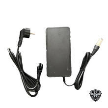 Load image into Gallery viewer, WUXI D-Power DPLC110V55 52v Ebike Battery Charger