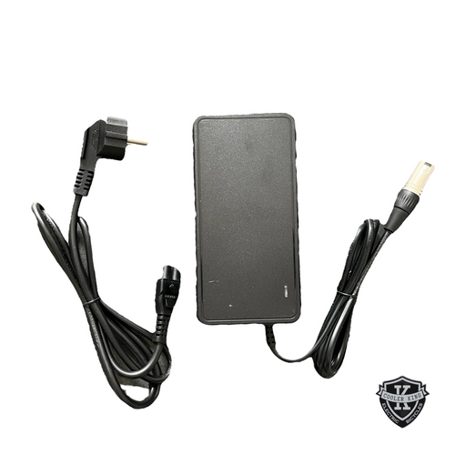 Chargeur de batterie pour vélo électrique WUXI D-Power DPLC110V55 52 V